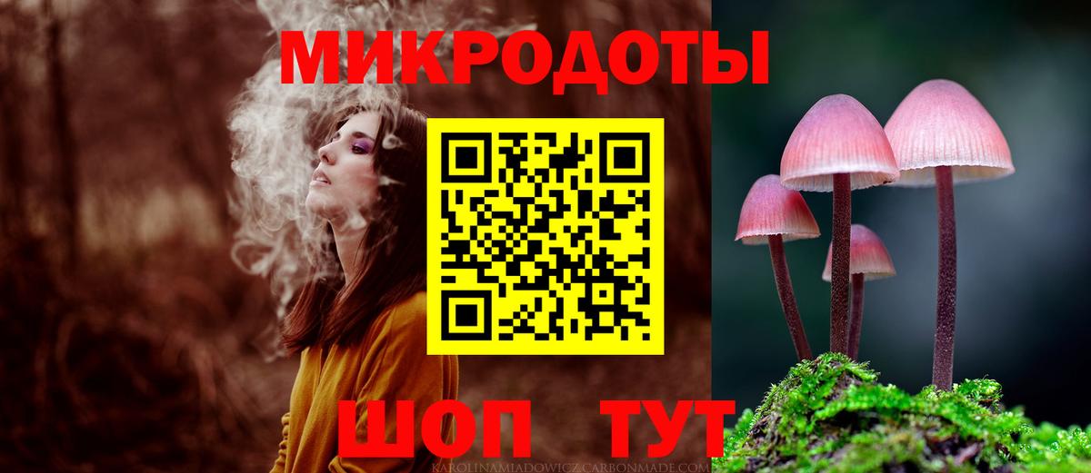 Киров  Псилоцибиновые грибы Psilocybe  Вход с VPN 